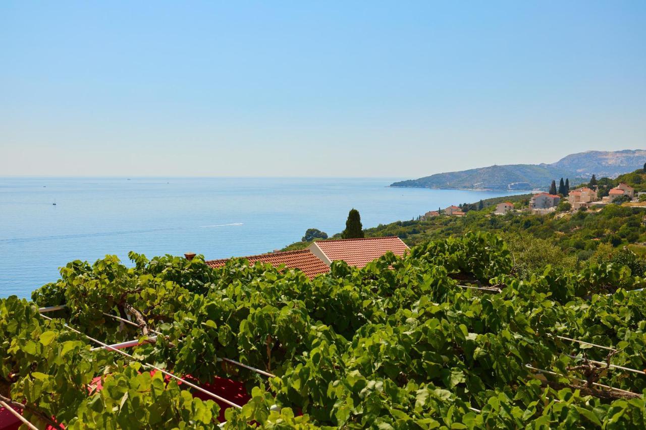 Apartman Ani Mlini Exterior foto